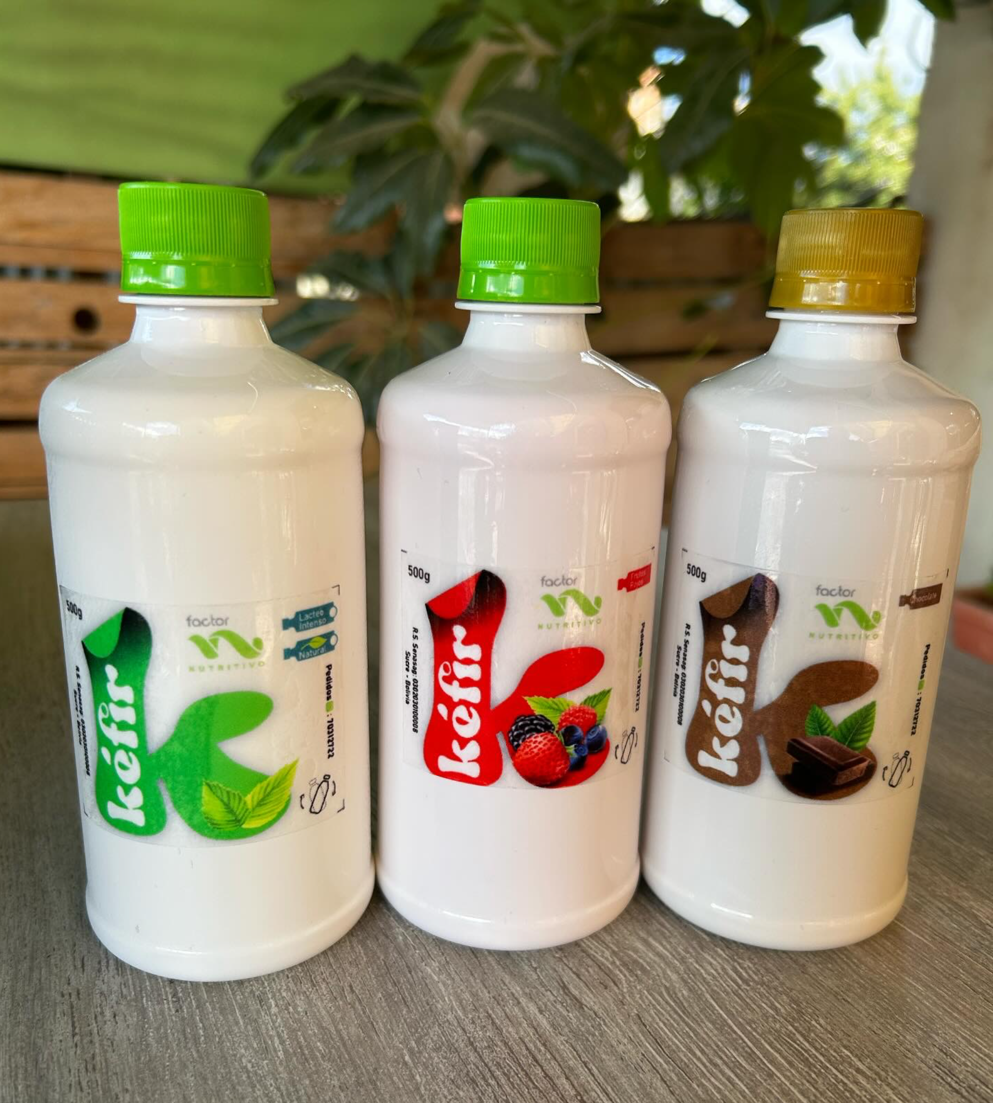 Kefir Artesanal