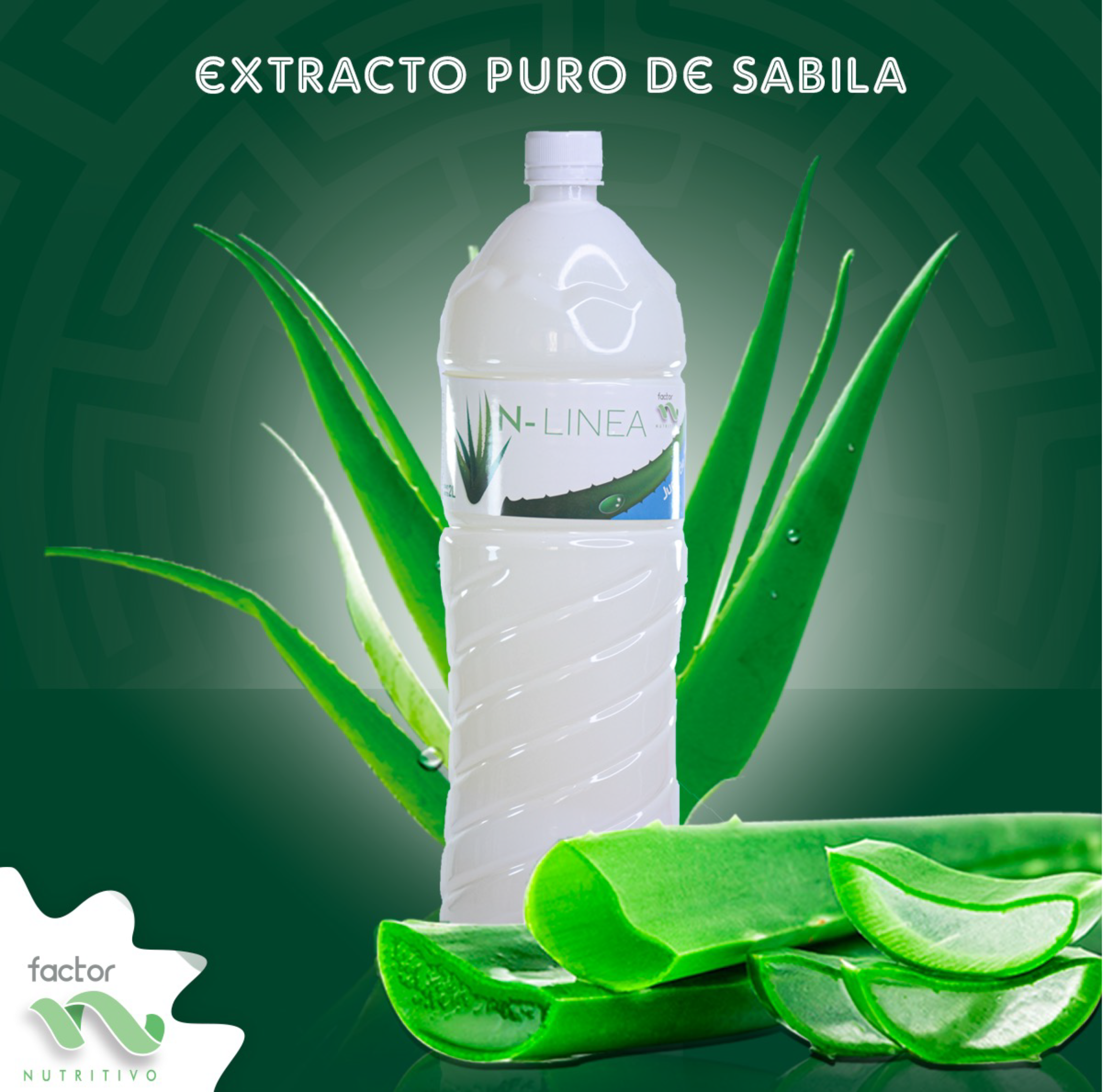Extracto de Sábila
